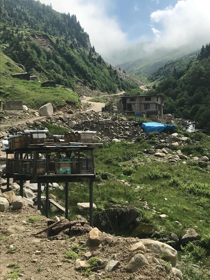 Serinyer Dag Evi Ayder Exterior foto